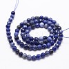 Natural Sodalite Beads Strands X-G-D840-19-4mm-2