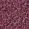 MIYUKI Delica Beads SEED-MY11-DB0283-3