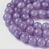 Natural Gemstone Beads Strands G-O183-03B-03-2
