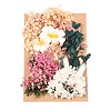 Dried Flower DIY-B018-08-1