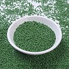 MIYUKI Round Rocailles Beads X-SEED-G007-RR0431-2