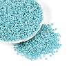 8/0 Glass Seed Beads SEED-US0003-3mm-154-4