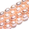 Natural Cultured Freshwater Pearl Beads Strands PEAR-N012-05S-4