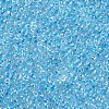 12/0 FGB Grade A Round Glass Seed Beads SEED-N001-E-321-2