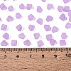FGB Frosted Transparent Glass Seed Beads SEED-N013-03A-07-4