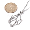Crystal Holder Cage Necklace X-NJEW-JN04585-6