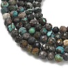 Natural African Turquoise(Jasper) Beads Strands G-RM241221-B9-4