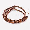 Natural Tiger Eye Bead Strand G-G680-48-2