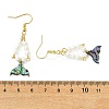 Paua Shell Dangle Earrings EJEW-JE07178-5