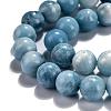 Natural Gemstone Beads Strands G-L367-01-10mm-5