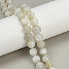 Natural Green Moonstone Beads Strands LS-G-NH0060-A01-02-1