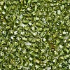 Picasso Baking Paint Glass Seed Beads SEED-N007-37H-3