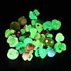 26Pcs 13 Styles Luminous Resin Mushroom Desk Decoration FIND-XCP0003-22-3