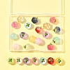 24Pcs 12 Colors Transparent Glass Apple Pendants DGLA-FS0001-15-7