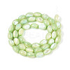 Natural Trochus Shell Beads Strands X-SHEL-K006-19-01C-2