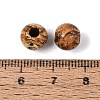 Natural Picture Jasper Beads G-Q602-08A-09-3