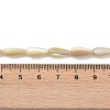 Natural Trochus Shell Beads PEAR-B002-01A-B-4