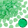 1 Set Resin Luminous Glow in the Dark Pebbles Stone DJEW-CN0001-40D-1