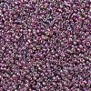 MIYUKI Round Rocailles Beads SEED-JP0008-RR0256D-3