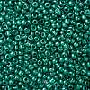 8/0 Glass Seed Beads X1-SEED-A017-3mm-1118-2