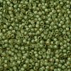 TOHO Round Seed Beads SEED-XTR11-0946FM-2