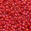 TOHO 6/0 Round Beads SEED-TR06-0405F-4