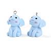 Opaque Resin Pendants RESI-N039-131-1