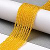 Transparent Glass Beads Strands GLAA-H021-03-06-3