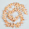 Natural Spiral Shell Beads Strands BSHE-SZ0001-03-5