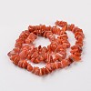Chip Natural South Red Agate Bead Strands G-M349-08-2