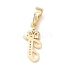 Eco-Friendly Brass Micro Pave Cubic Zirconia Pendants KK-K265-01G-T-2