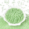 FGB Frosted Transparent Glass Seed Beads SEED-N013-04A-08-2