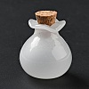 Lucky Bag Shape Glass Cork Bottles Ornament AJEW-A039-02E-2