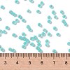 MIYUKI Round Rocailles Beads SEED-JP0009-RR0571-4