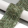 Natural Green Apatite Beads Strands G-G105-A01-03-2
