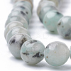Natural Sesame Jasper/Kiwi Jasper Beads Strands G-S295-14-8mm-3