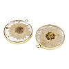 Transparent Clear Epoxy Resin Pendants RESI-XCP0002-33-2