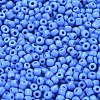 Glass Seed Beads SEED-A010-3mm-43B-3