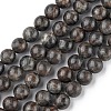 Natural Labradorite Beads Strands G-G0003-C03-12mm-1