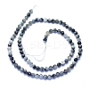 Natural Hawk's Eye Beads Strands G-I279-E14-03-2