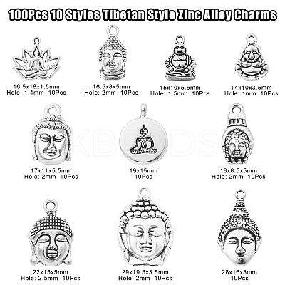 100Pcs 10 Styles Tibetan Style Zinc Alloy Charms TIBEP-CJ0003-08-1