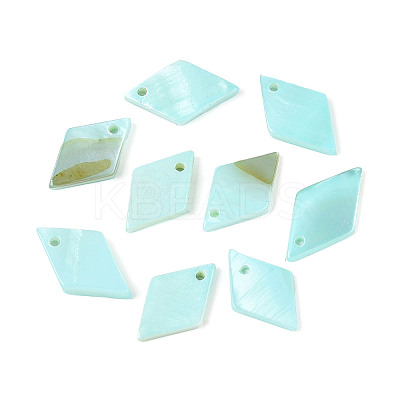 Spray Painted Natural Freshwater Shell Pendants BSHE-T014-07C-1