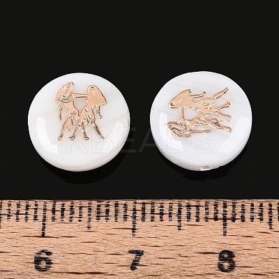 Natural Freshwater Shell Beads SHEL-N037-02G-G-1