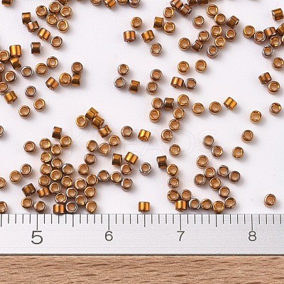 MIYUKI Delica Beads SEED-J020-DB0505-1