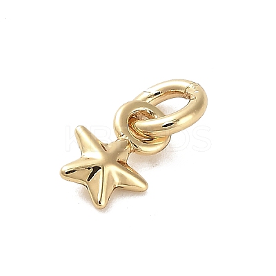 Golden Brass Charms KK-H493-01G-09-1