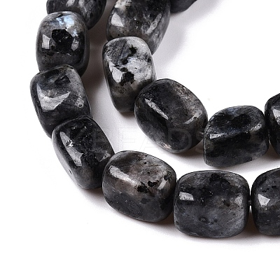 Natural Larvikite Beads Strands G-T138-106-1