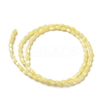 Natural Trochus Shell Beads Strands SHEL-K006-19C-1