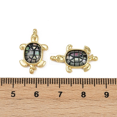 Brass Pave Natural Paua Shell Tortoise Connector Charms KK-C093-21G-1