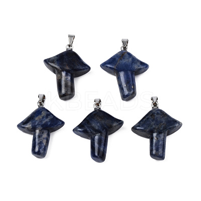 Natural Sodalite Pendants G-R480-02I-1