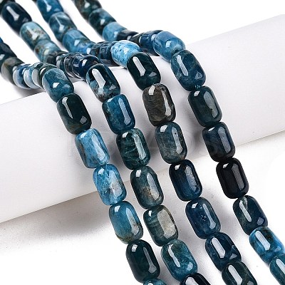Natural Apatite Beads Strands G-G980-51A-1